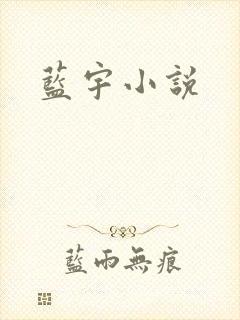 蓝宇小说