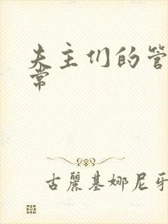 夫主们的管教日常
