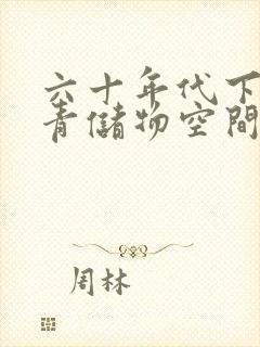 六十年代下乡知青储物空间