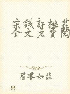 宋钱许桃花小说全文免费阅读