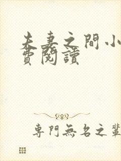 夫妻之间小说免费阅读