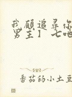 我愿追寻你【双男主】 七吔