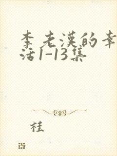 李老汉的幸福生活1-13集