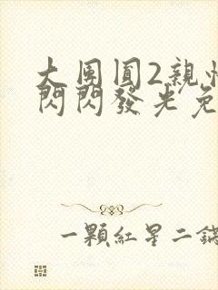 大团圆2亲情会闪闪发光免费