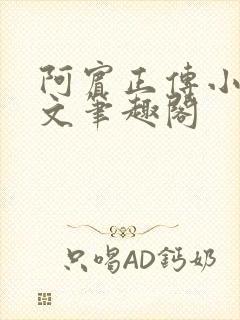 阿宾正传小说全文笔趣阁