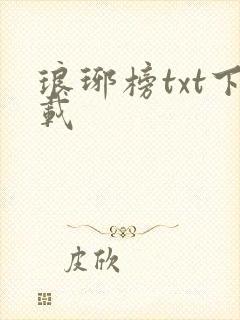 琅琊榜txt下载