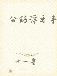 公的浮之手中字