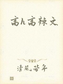 高h高辣文