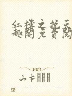 红楼之挽天倾笔趣阁免费阅读