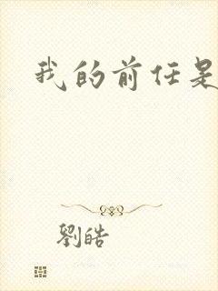 我的前任是极品