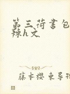 第三荷书包网高辣h文