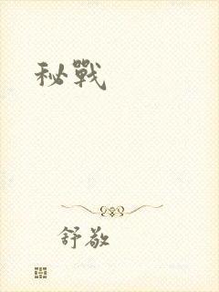 秘战