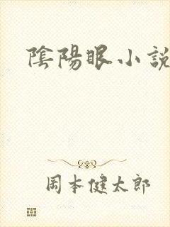阴阳眼小说