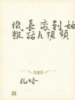 机长脔到她哭h粗话h视频