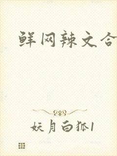 鲜网辣文合集