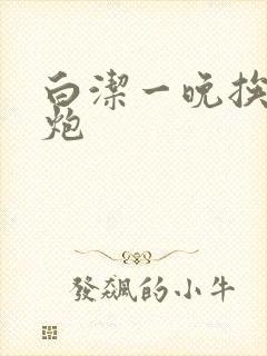 白洁一晚挨十二炮