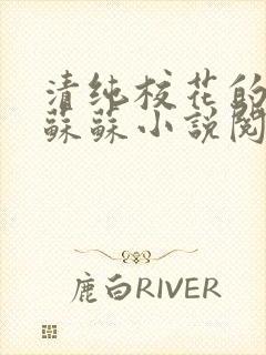 清纯校花的日常苏苏小说阅读全文