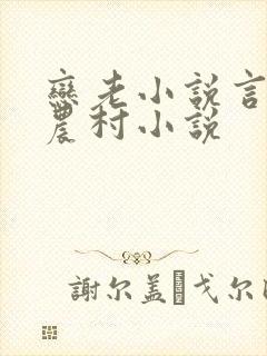 恋老小说言情网农村小说