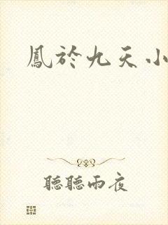 凤于九天小说