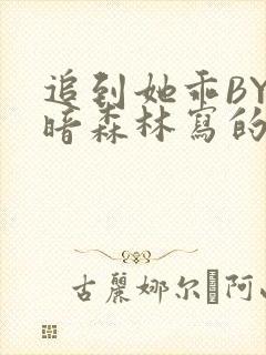 追到她乖BY黑暗森林写的小说