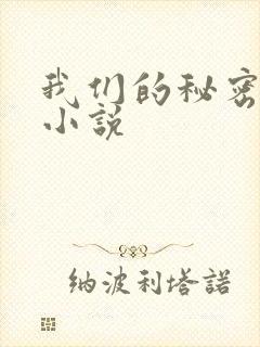 我们的秘密泰剧小说