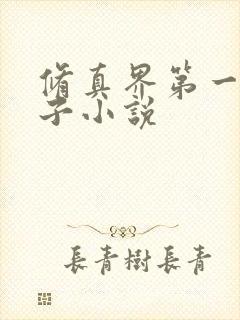 修真界第一病秧子小说