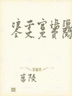 浪子官场猎艳记全文免费阅读