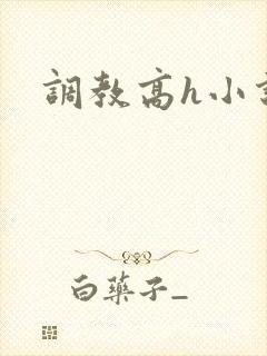 调教高h小说