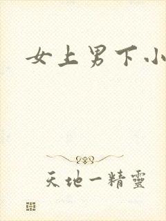 女上男下小说