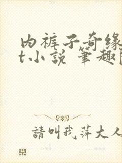 内裤子奇缘txt小说 笔趣阁