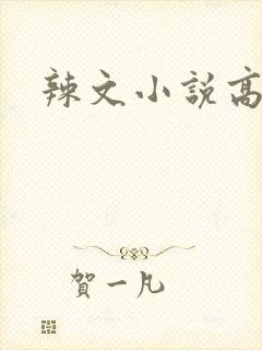 辣文小说高h