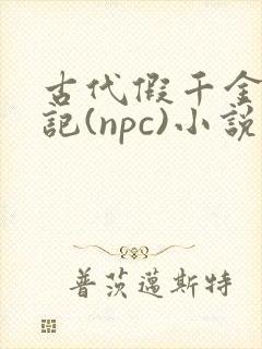 古代假千金挨日记(npc)小说
