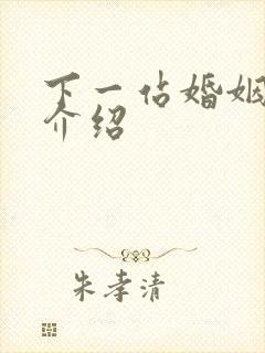 下一站婚姻剧情介绍