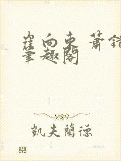 崔向东 萧错 笔趣阁