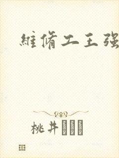 维修工王强张婷