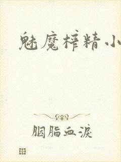 魅魔榨精小说