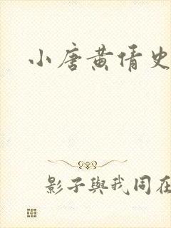 小唐黄倩史