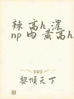 辣 高h 浓 np 肉 黄高h