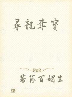 寻龙夺宝