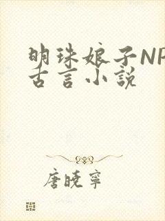 明珠娘子NPC古言小说