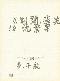 《别闹,薄先生!》沈繁星