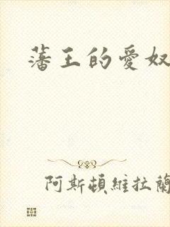 藩王的爱奴