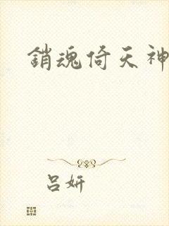 销魂倚天神雕