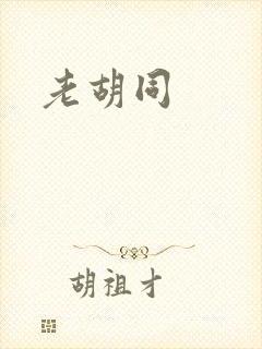 老胡同