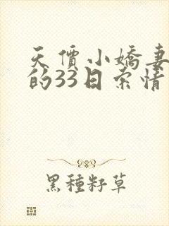 天价小娇妻总裁的33日索情