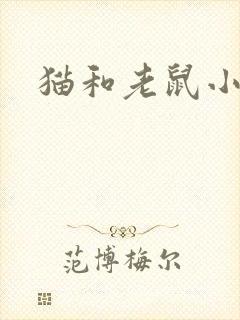 猫和老鼠小说