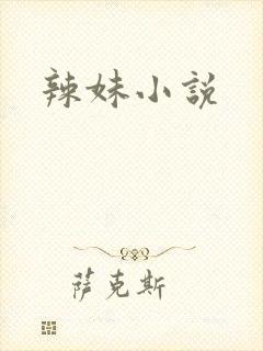 辣妹小说