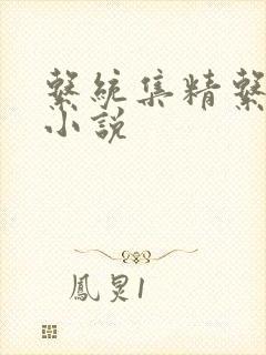 系统集精系统 小说