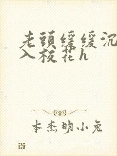 老头缓缓沉腰进入校花h