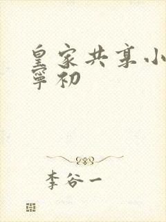 皇家共享小公主宁初